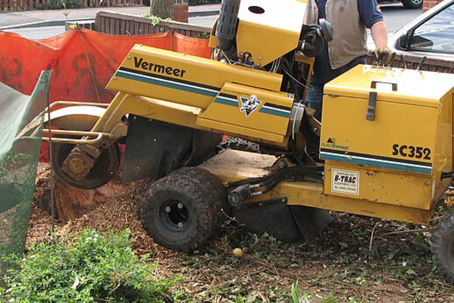 Tree Stump Grinding machine being operated by qualified and insured professional