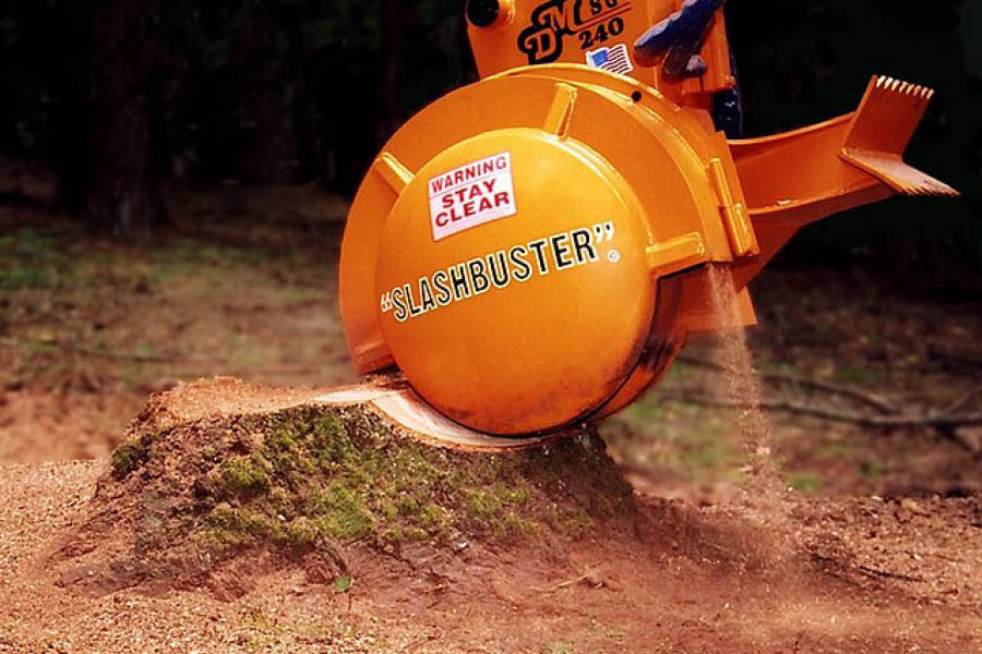 PLG Services provide professional Tree Stump Grinding services in Devon